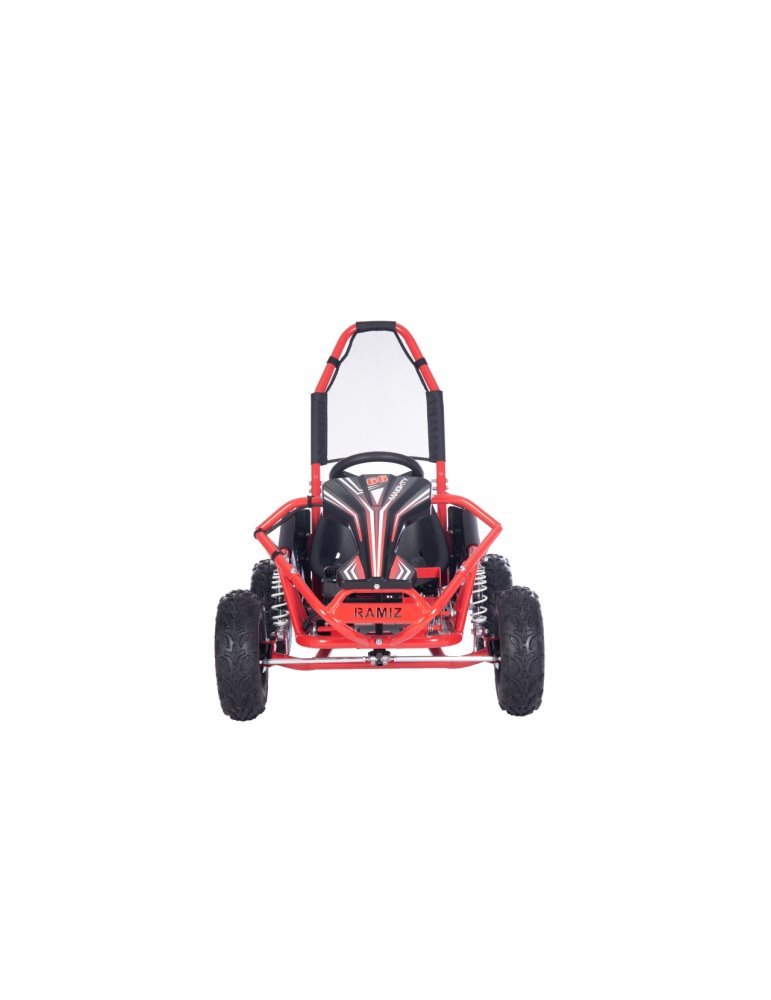 Kart elétrica MAIGHTY 1000W 48V com suspensão e freios hidráulicos QUADRICICLO ELÉTRICO INFANTIL 