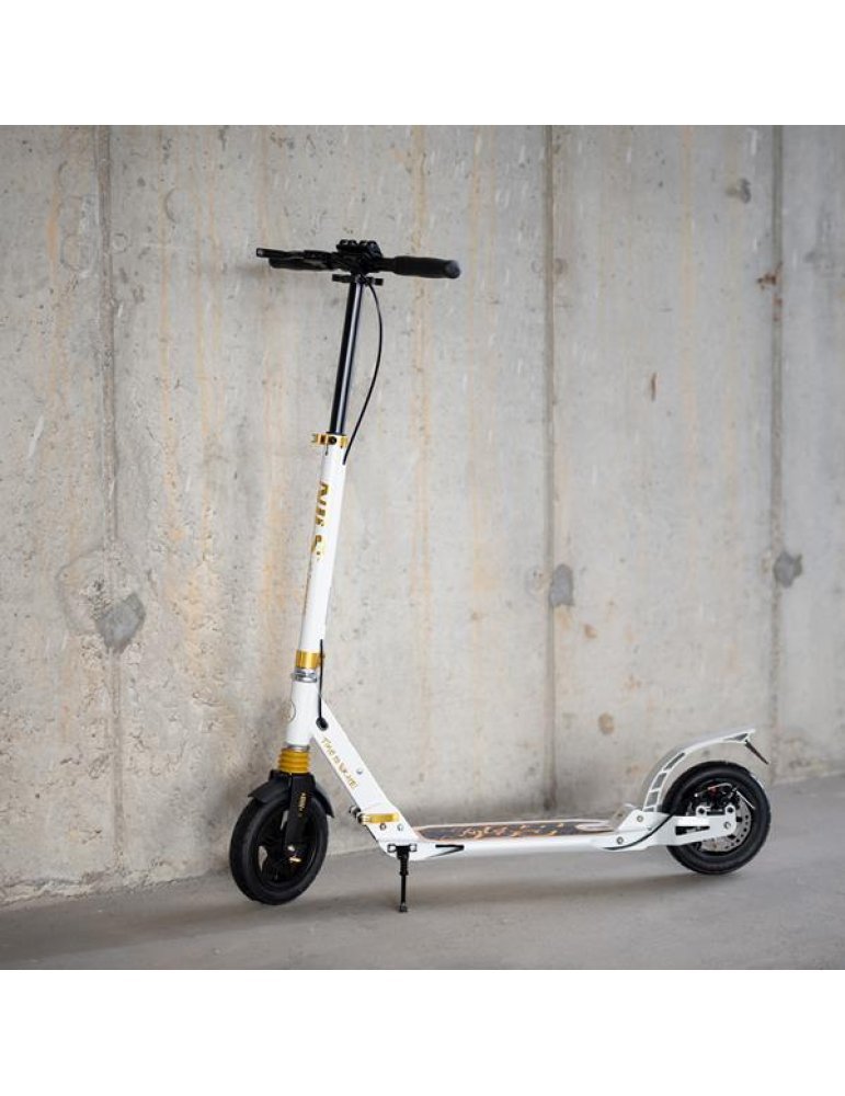 Trottinette NILS Extreme HM209T avec amortisseurs et doubles freins | Pliable et réglable