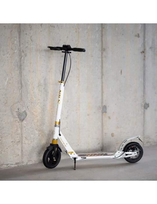 Scooter NILS Extreme HM209T com amortecedores e freios duplos | Dobrável e ajustável