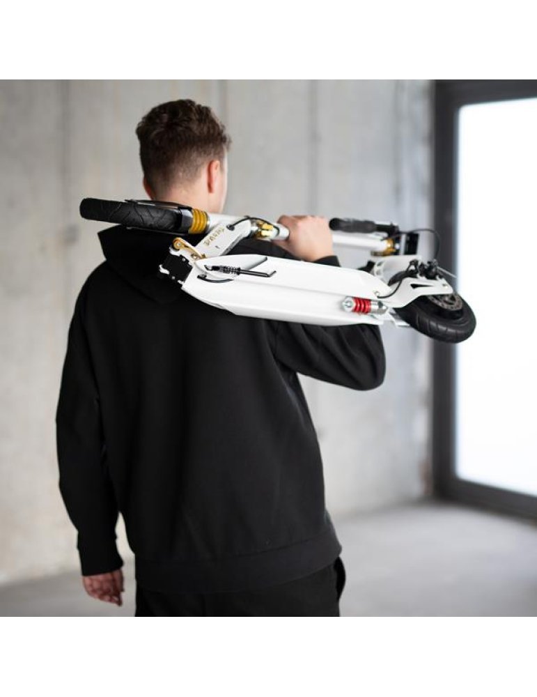 Scooter NILS Extreme HM209T com amortecedores e freios duplos | Dobrável e ajustável