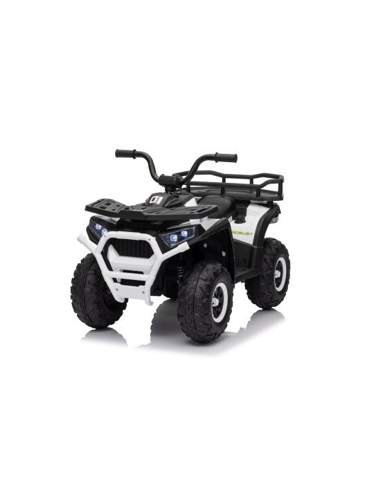 Quad ATV Robust 01
