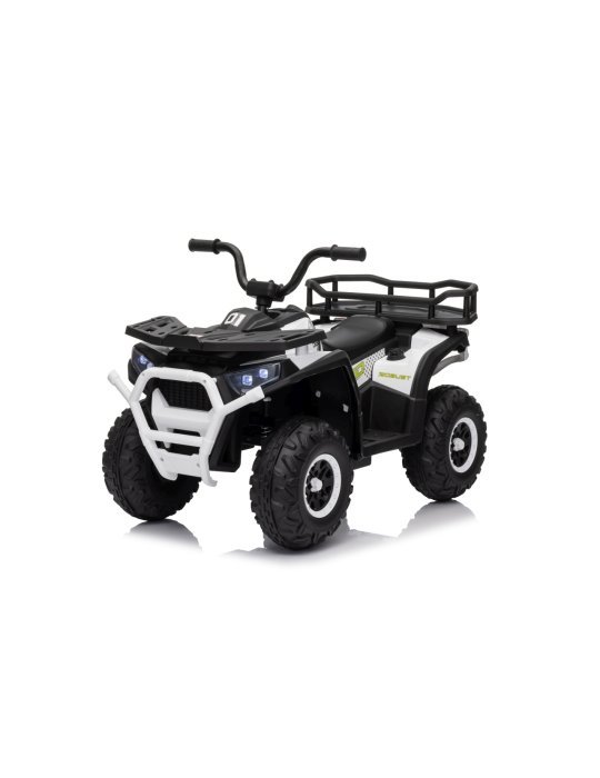 Quad ATV Robust 01