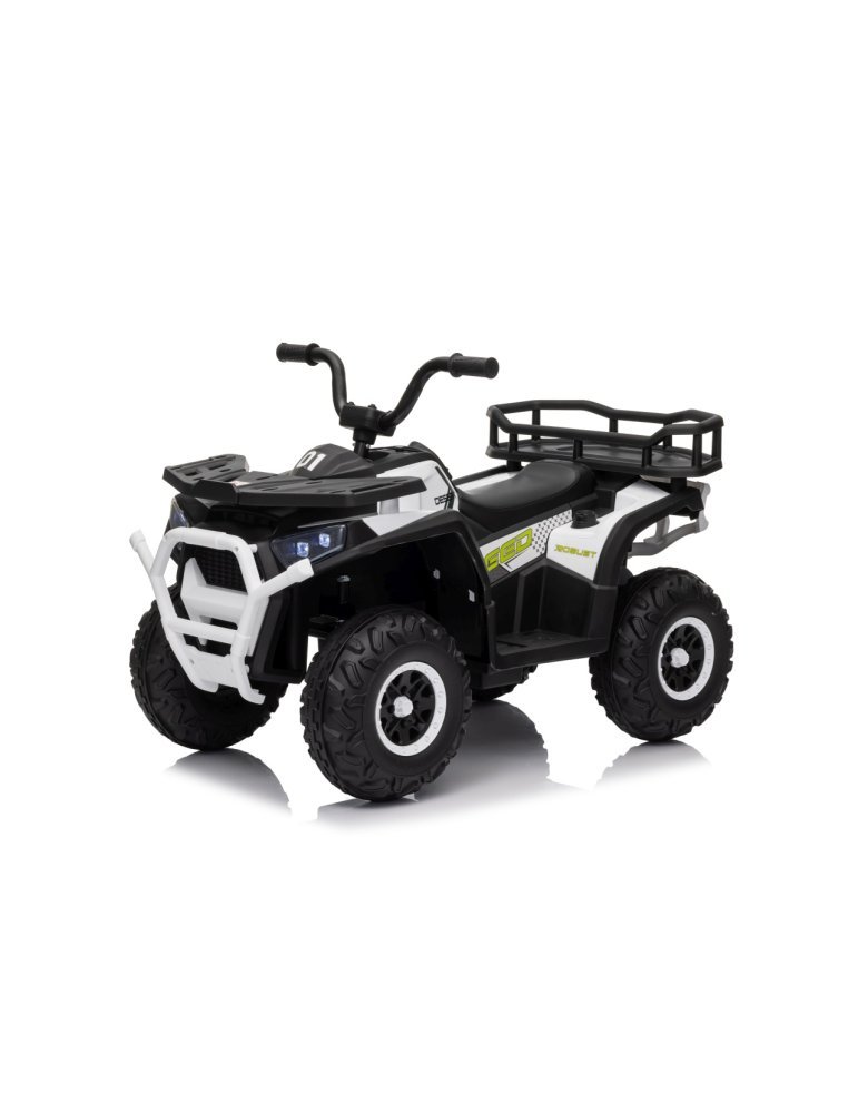 Quad ATV Robust 01 - Vista 4