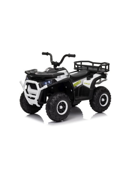 Quad ATV Robust 01