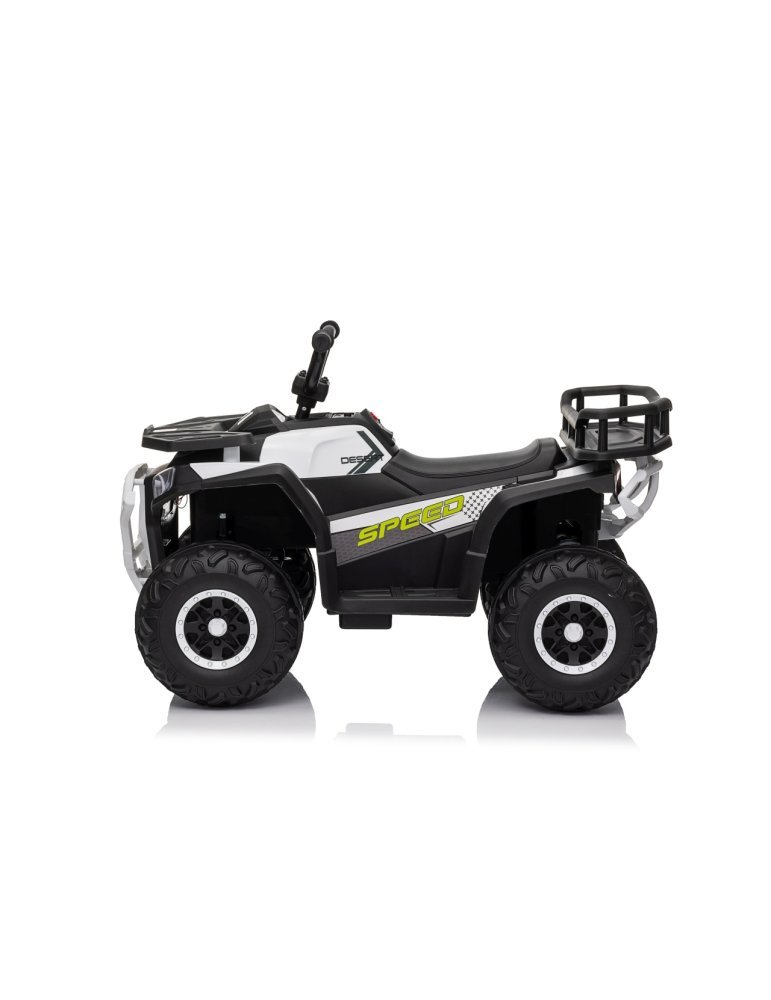 Quad ATV Robust 01 - Vista 5