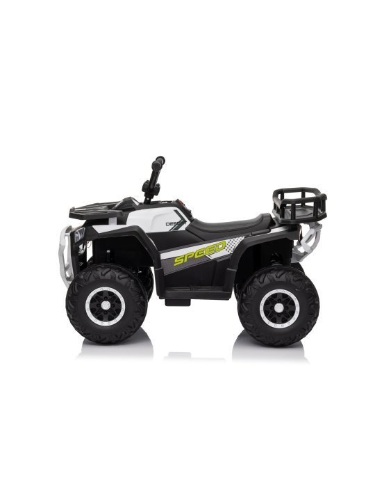 Quad ATV Robust 01