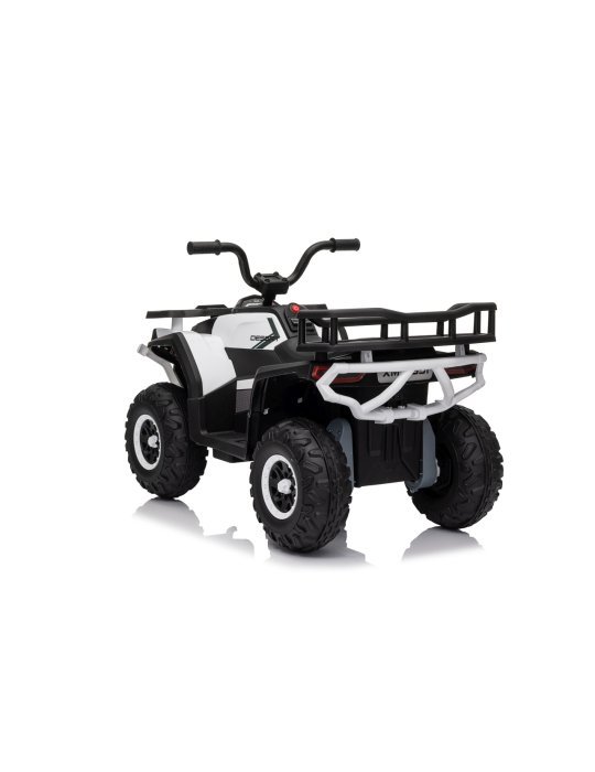 Quad ATV Robust 01