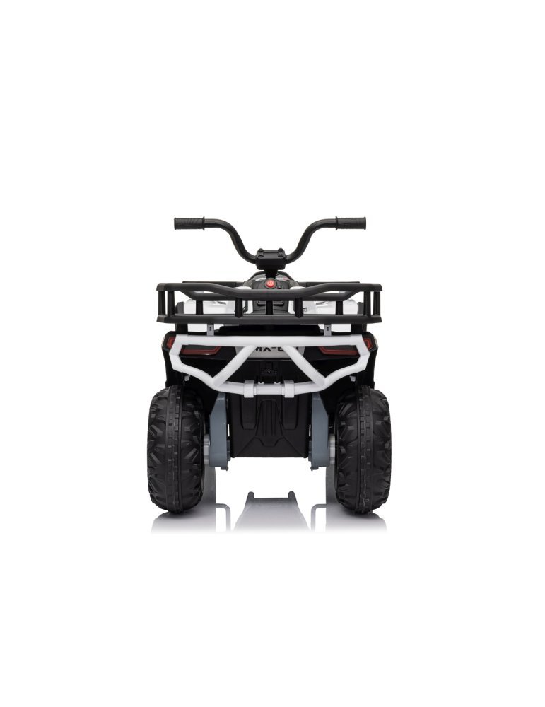 Quad ATV Robust 01 - Vista 8