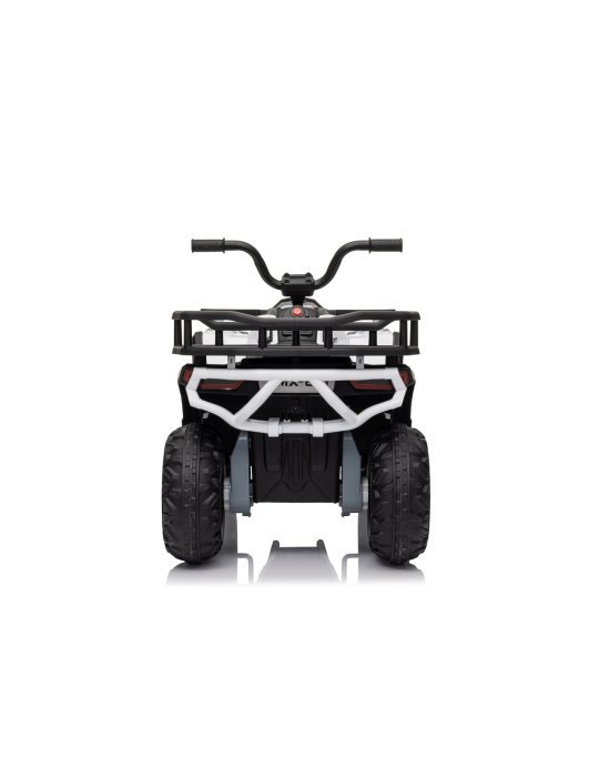 Quad ATV Robust 01