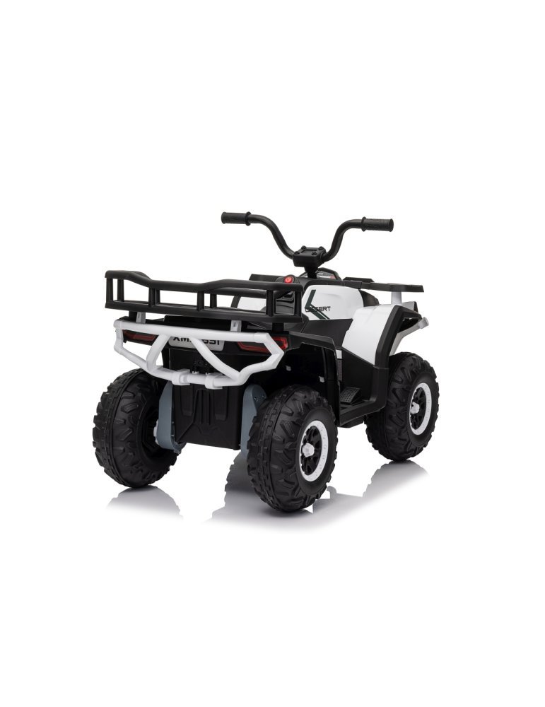 Quad ATV Robust 01 - Vista 9