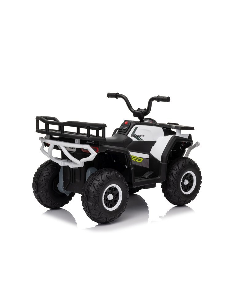 Quad ATV Robust 01 - Vista 10