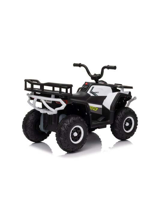 Quad ATV Robust 01