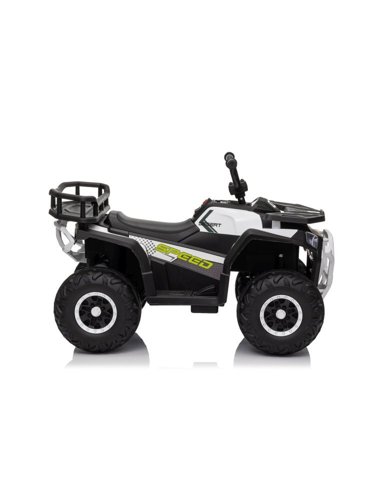 Quad ATV Robust 01 - Vista 11