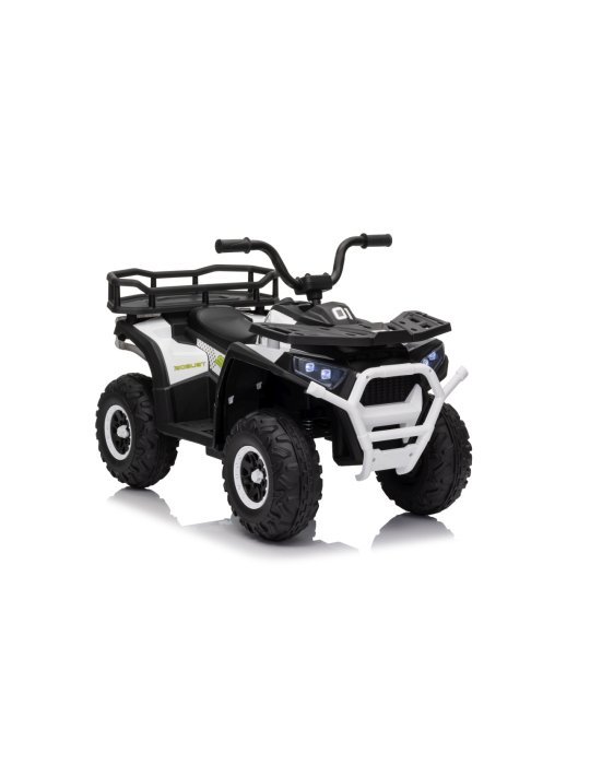 Quad ATV Robust 01
