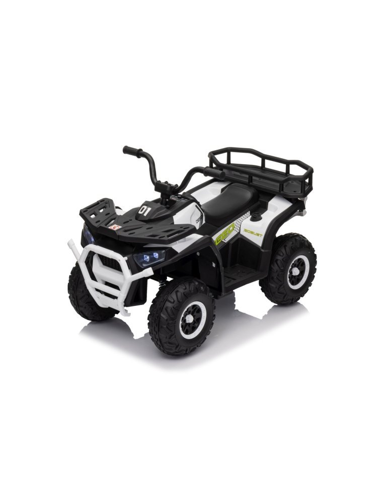 Quad ATV Robust 01 - Vista 13
