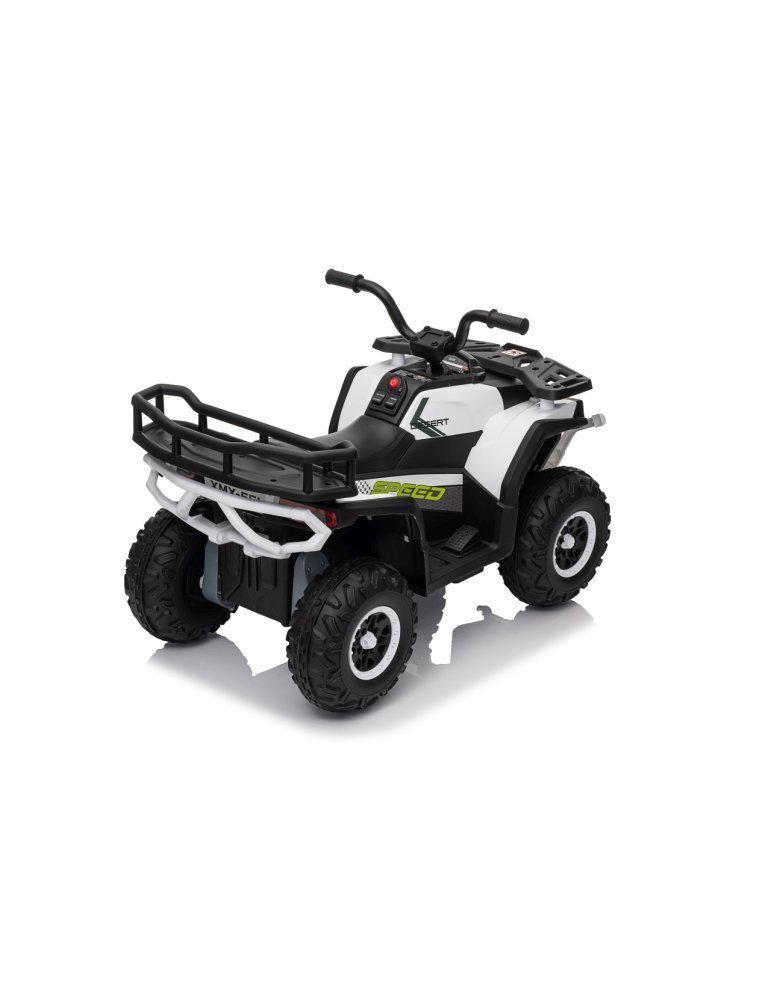 Quad ATV Robust 01 - Vista 14