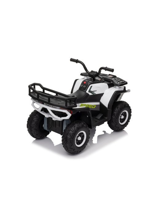 Quad ATV Robust 01