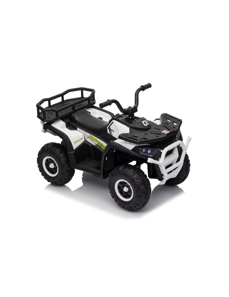 Quad ATV Robust 01 - Vista 15