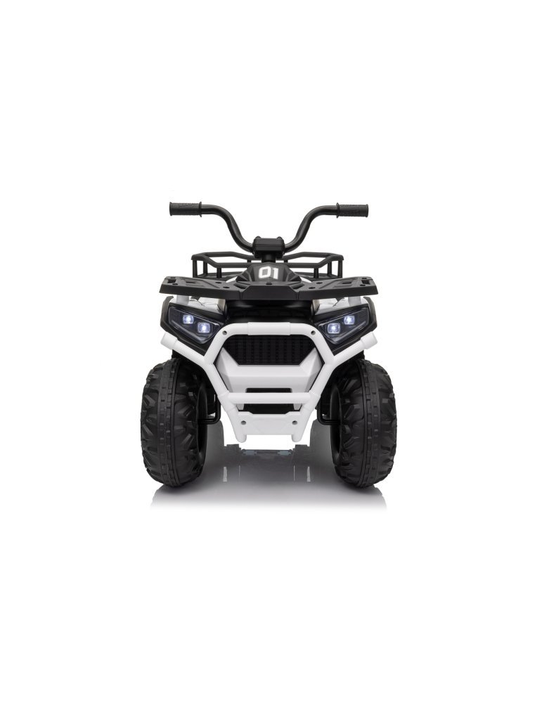 Quad ATV Robust 01 - Vista 16