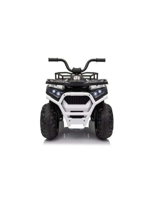 Quad ATV Robust 01