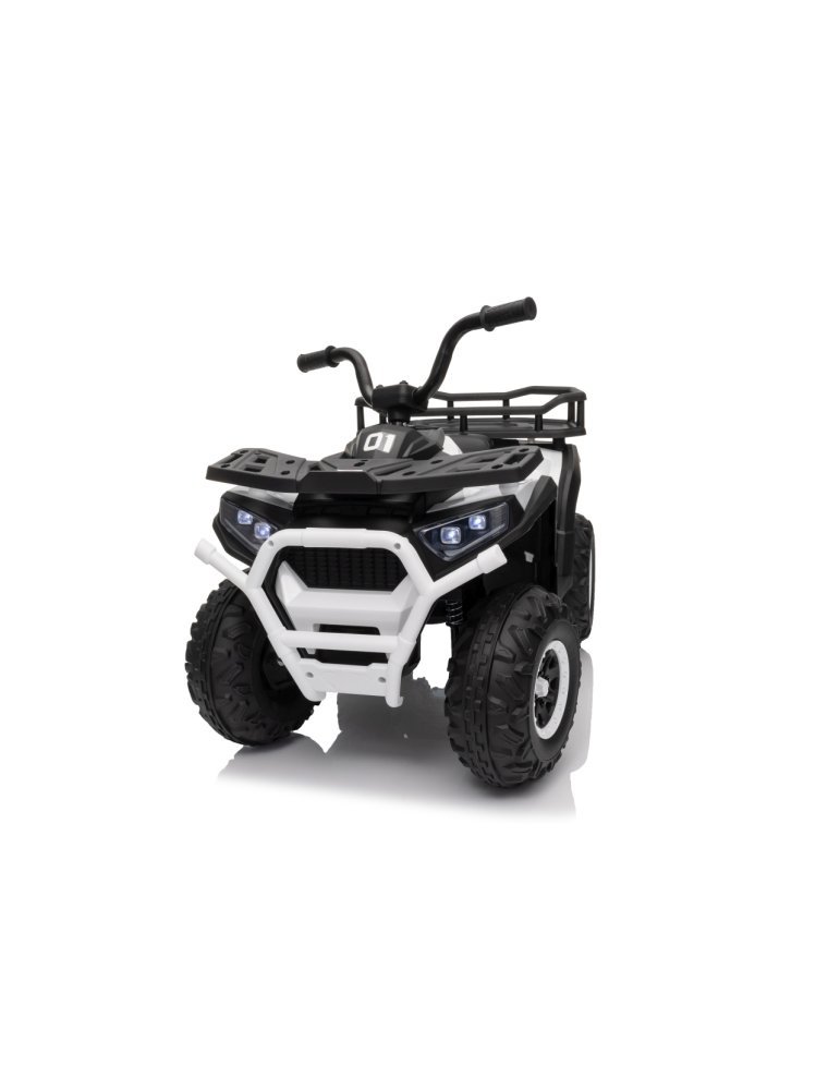 Quad ATV Robust 01 - Vista 17