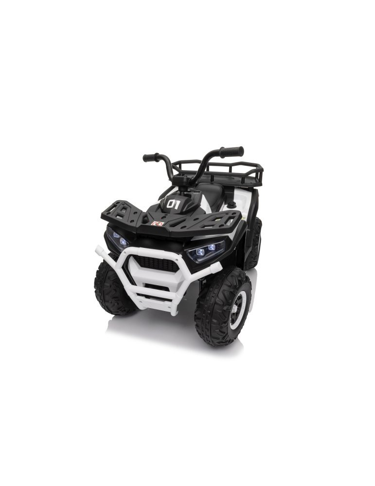 Quad ATV Robust 01 - Vista 18