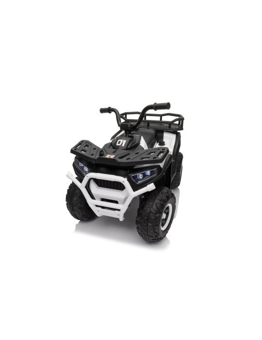 Quad ATV Robust 01