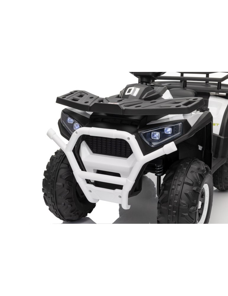 Quad ATV Robust 01 - Vista 20
