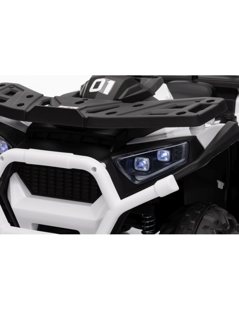 Quad ATV Robust 01 - Vista 21
