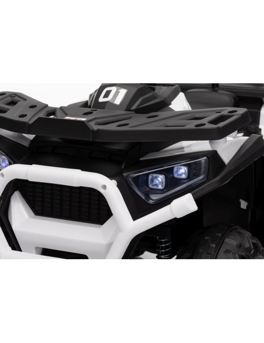 Quad ATV Robust 01
