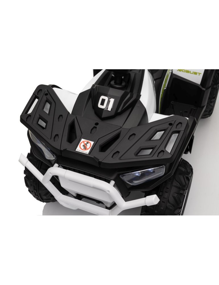 Quad ATV Robust 01 - Vista 22