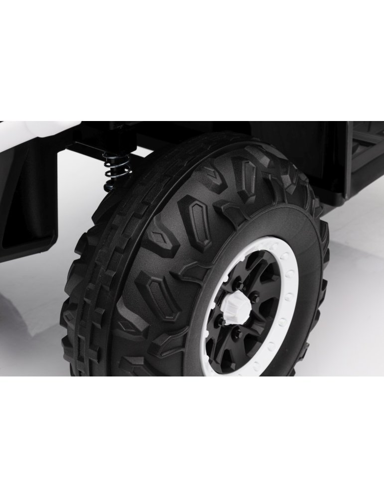 Quad ATV Robust 01 - Vista 24