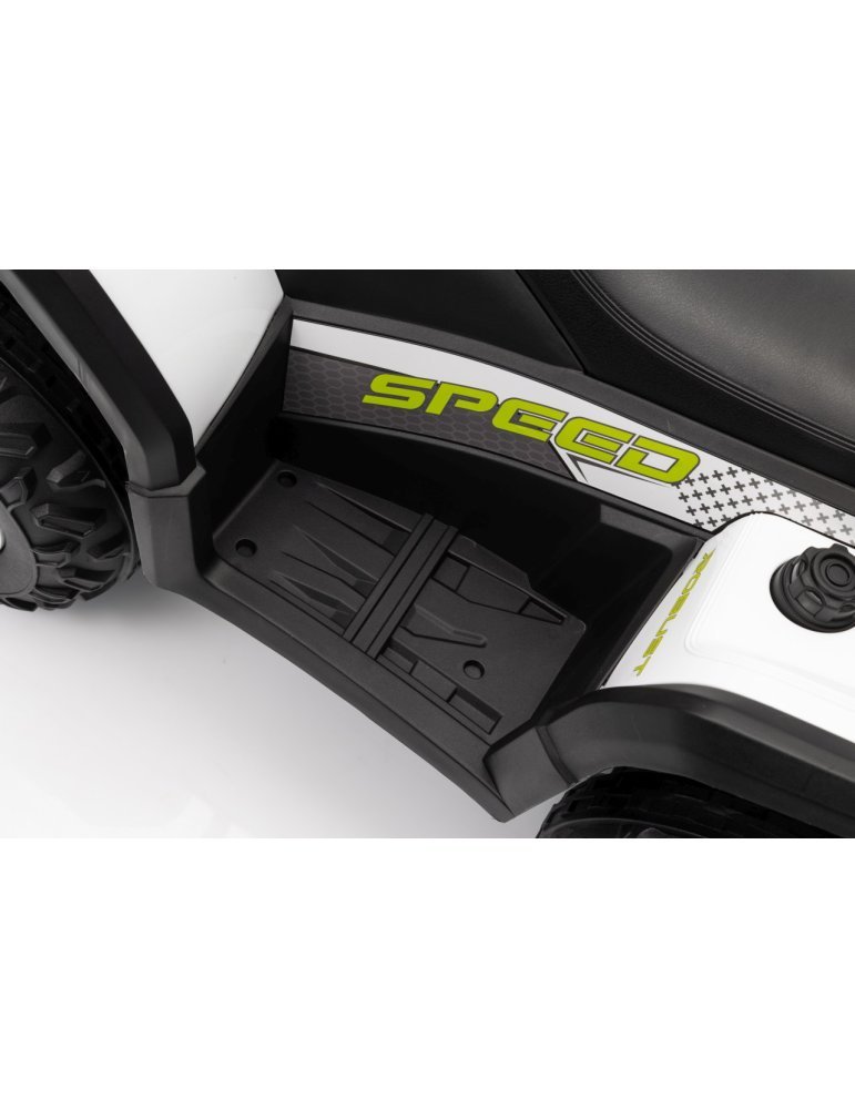 Quad ATV Robust 01 - Vista 28
