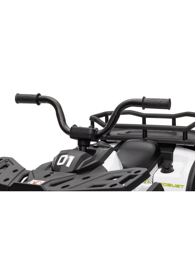 Quad ATV Robust 01 - Vista 29