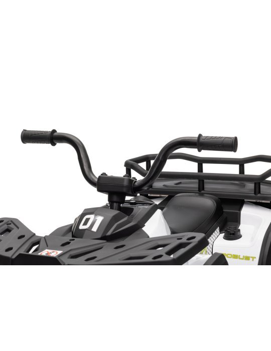 Quad ATV Robust 01