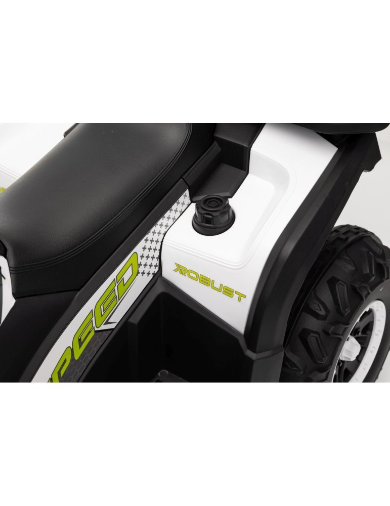 Quad ATV Robust 01 - Vista 31