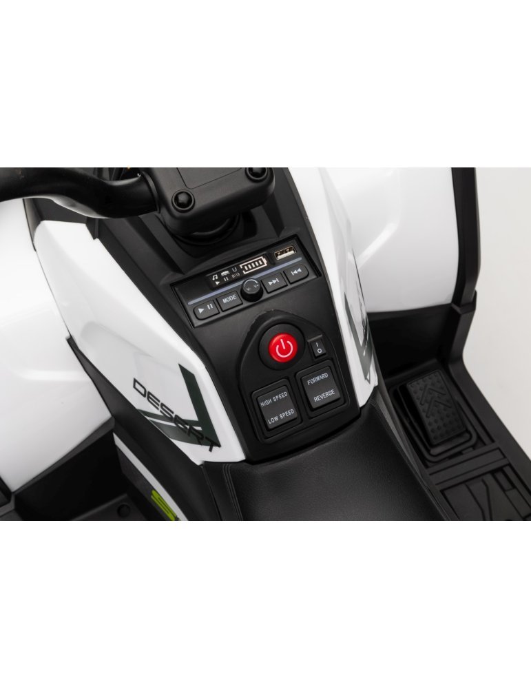 Quad ATV Robust 01 - Vista 34
