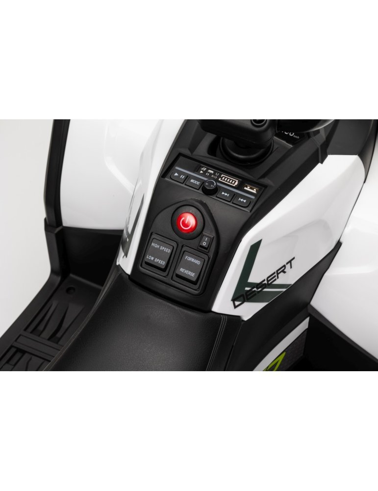 Quad ATV Robust 01 - Vista 36