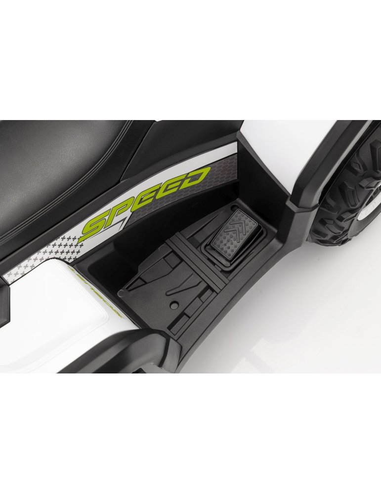 Quad ATV Robust 01 - Vista 37