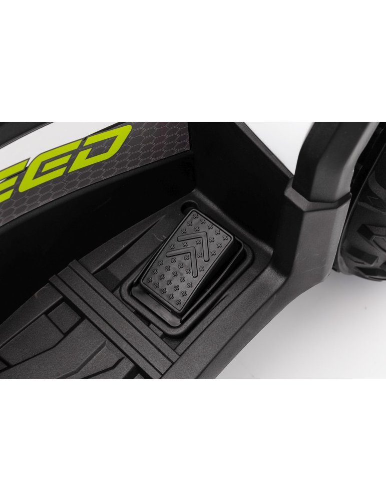Quad ATV Robust 01 - Vista 38