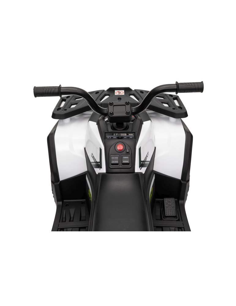 Quad ATV Robust 01 - Vista 39