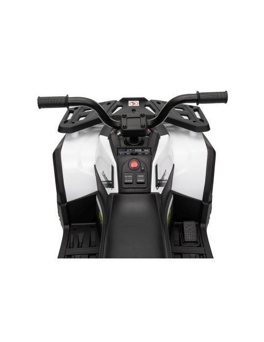 Quad ATV Robust 01
