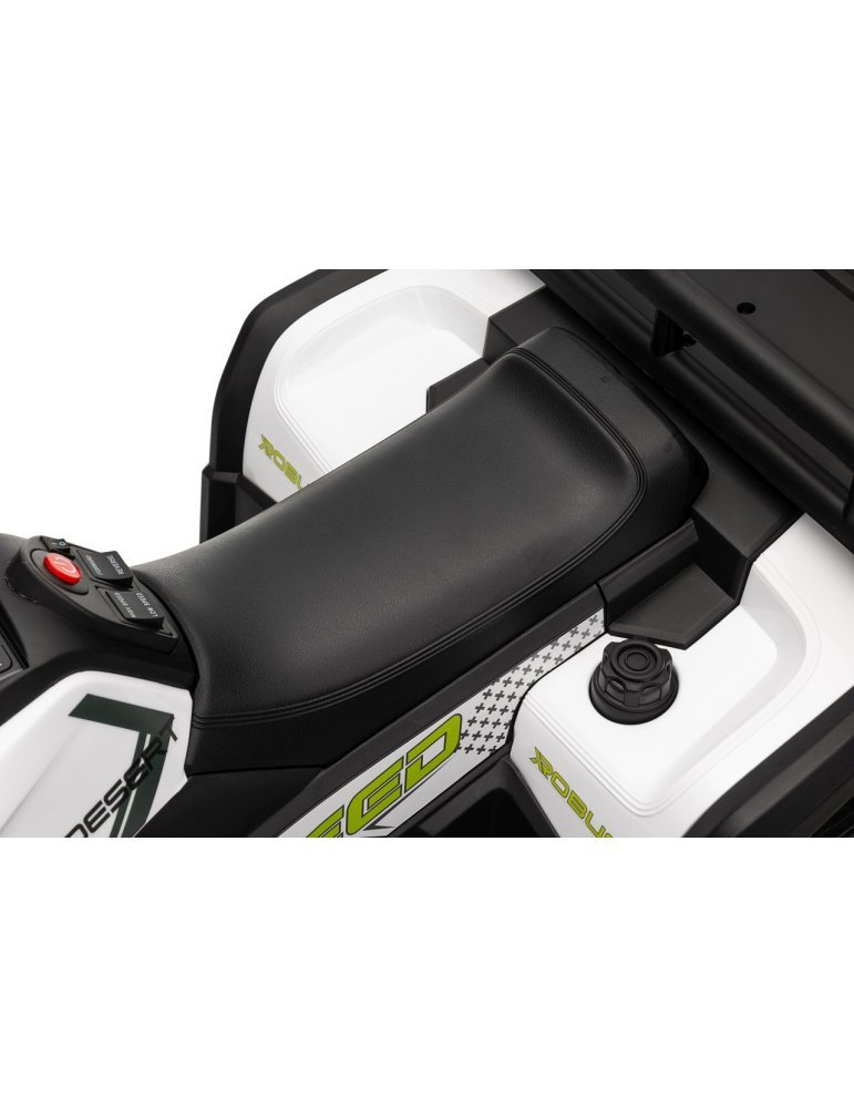 Quad ATV Robust 01 - Vista 40