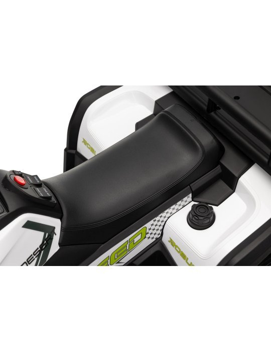 Quad ATV Robust 01