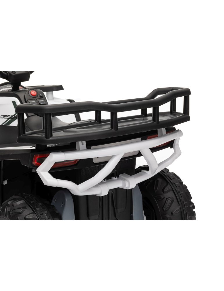 Quad ATV Robust 01 - Vista 43
