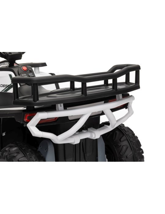 Quad ATV Robust 01