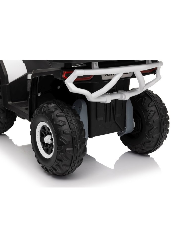 Quad ATV Robust 01 - Vista 45