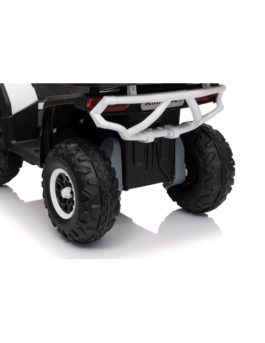 Quad ATV Robust 01