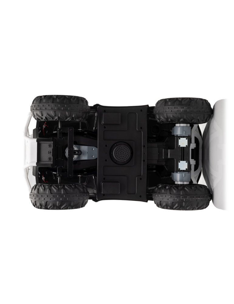 Quad ATV Robust 01 - Vista 46