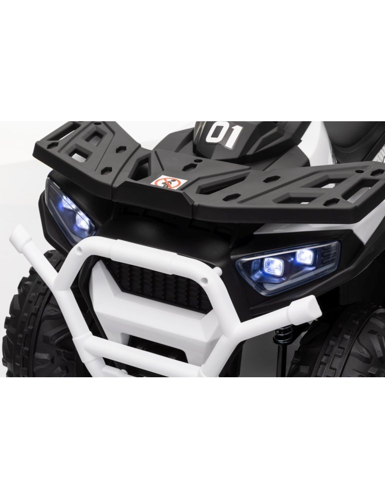 Quad ATV Robust 01 - Vista 49